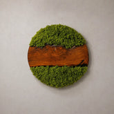Round wall art piece with green moss and a wooden base on a gray background