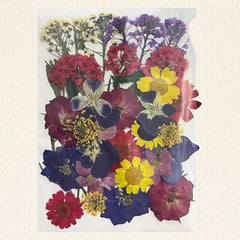 32 in 1 Multicolour Flower