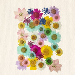 36 in 1 Multicolour Flower