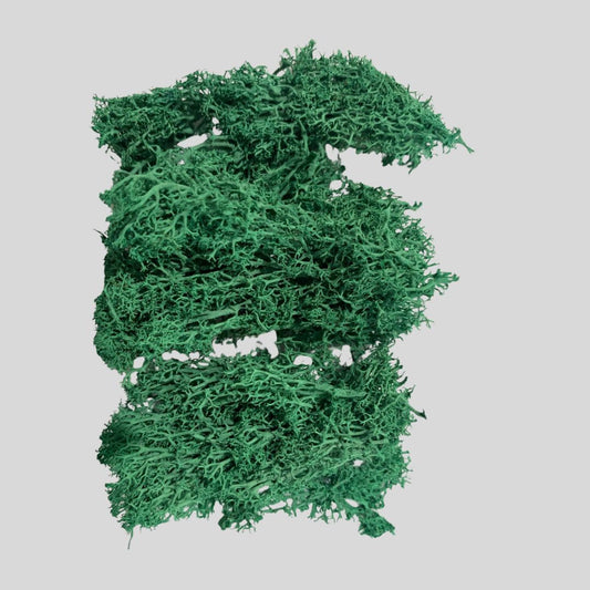 Dark Green Moss
