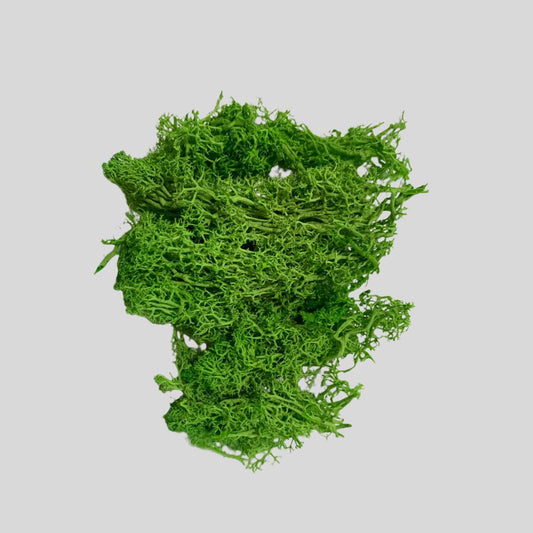 Moss Light Green