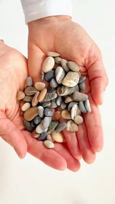 Pebbles