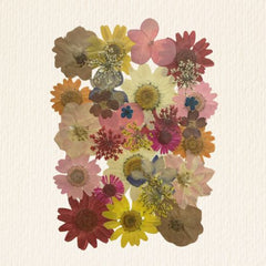 33 in 1 Multicolour Flower