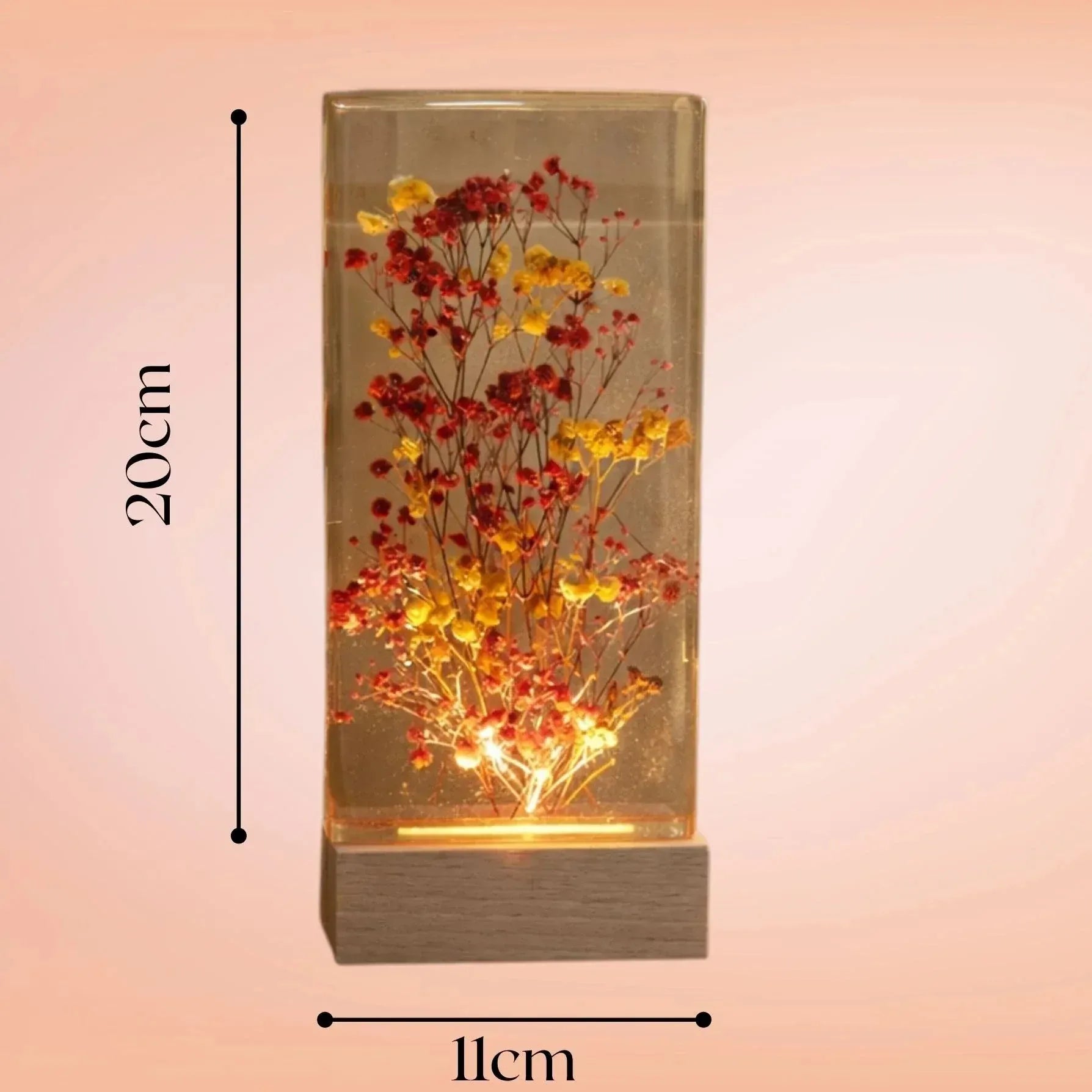 Decorative wall light with dried flowers and dimensions on a gradient background