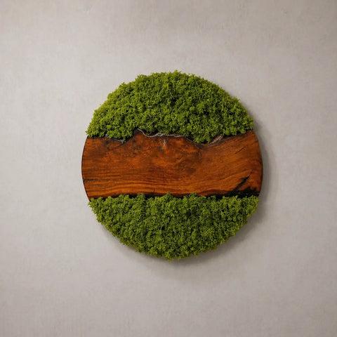 Round wall art piece with green moss and a wooden base on a gray background
